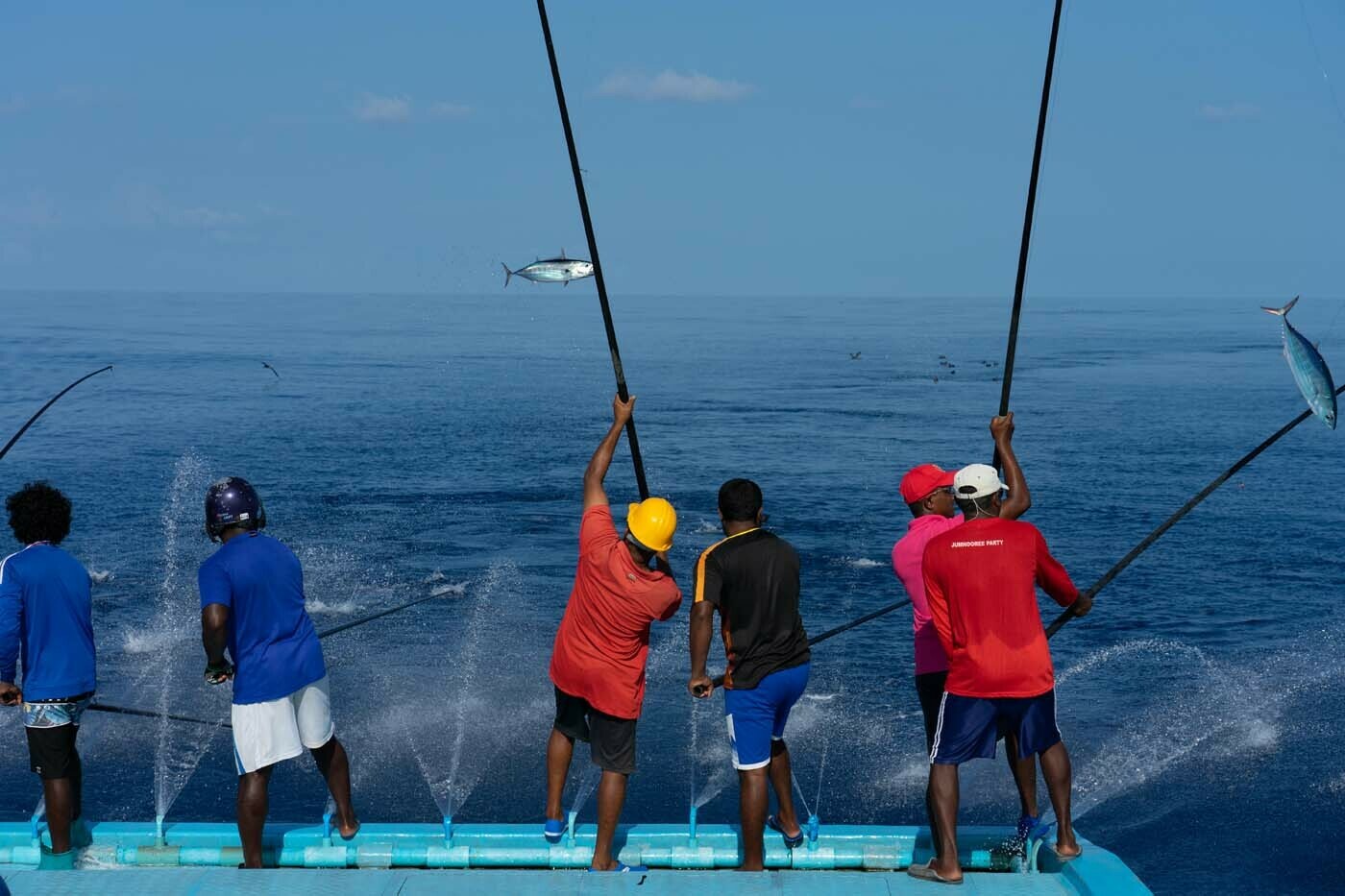 Blueyou Maldives Skipjack Fishing1