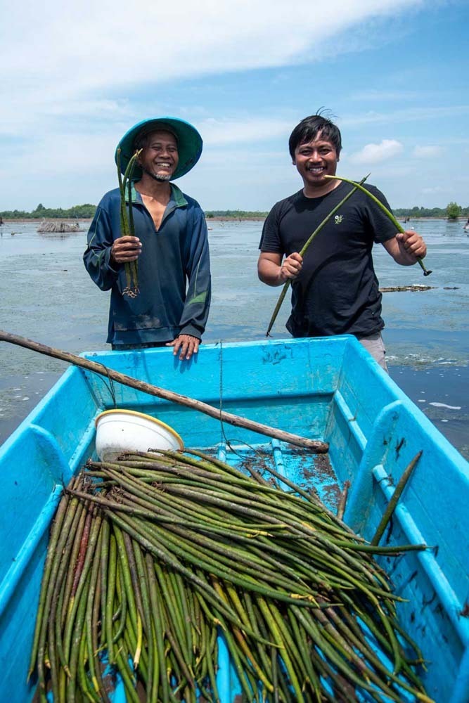 Kalimantan Sept 23 Kurniawan and Haji Kila replanting Mangroves