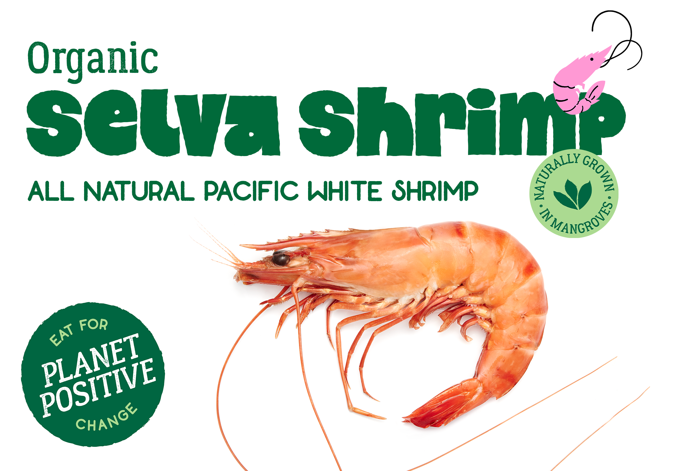 Selva white shrimp PP