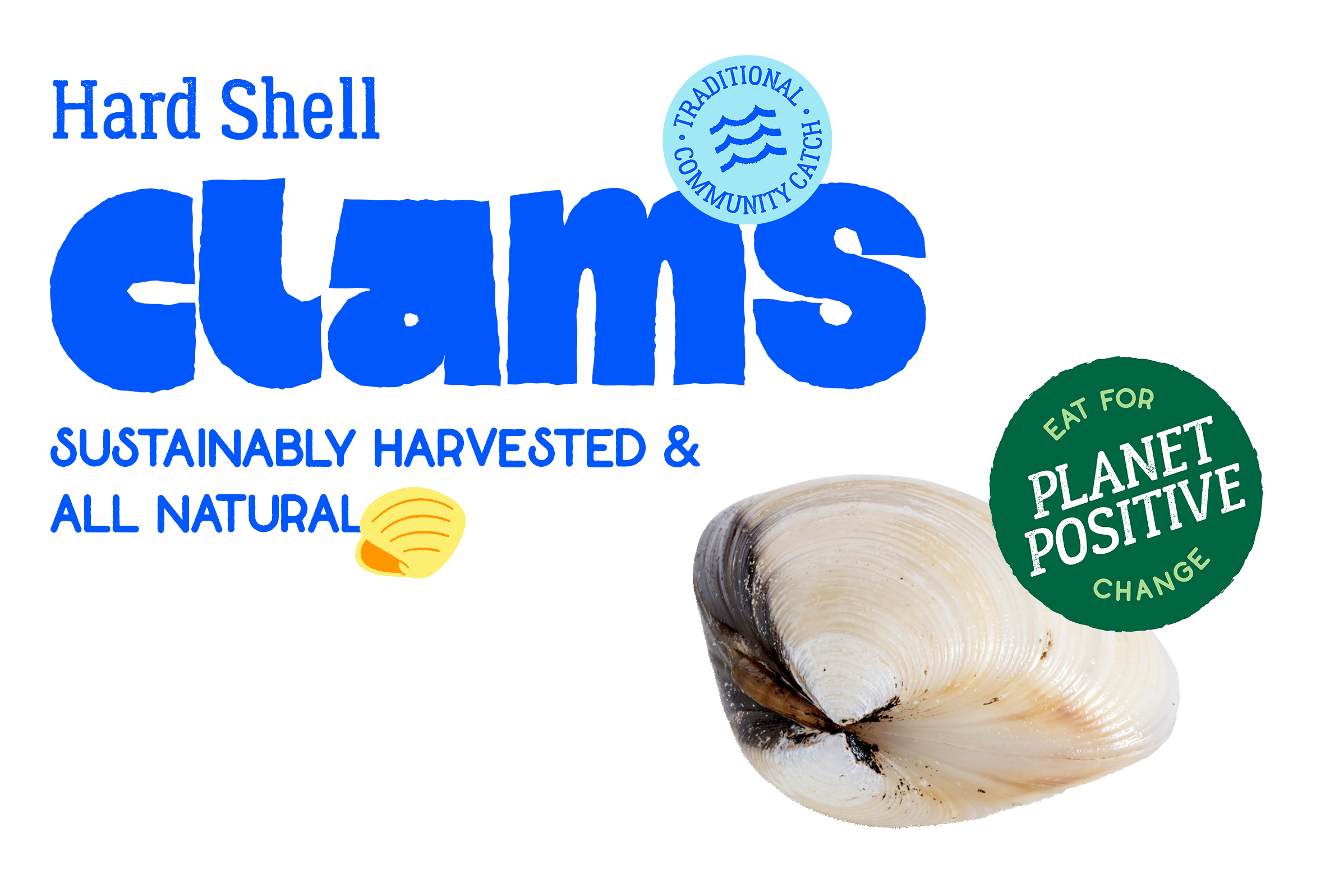 Clams BY PP