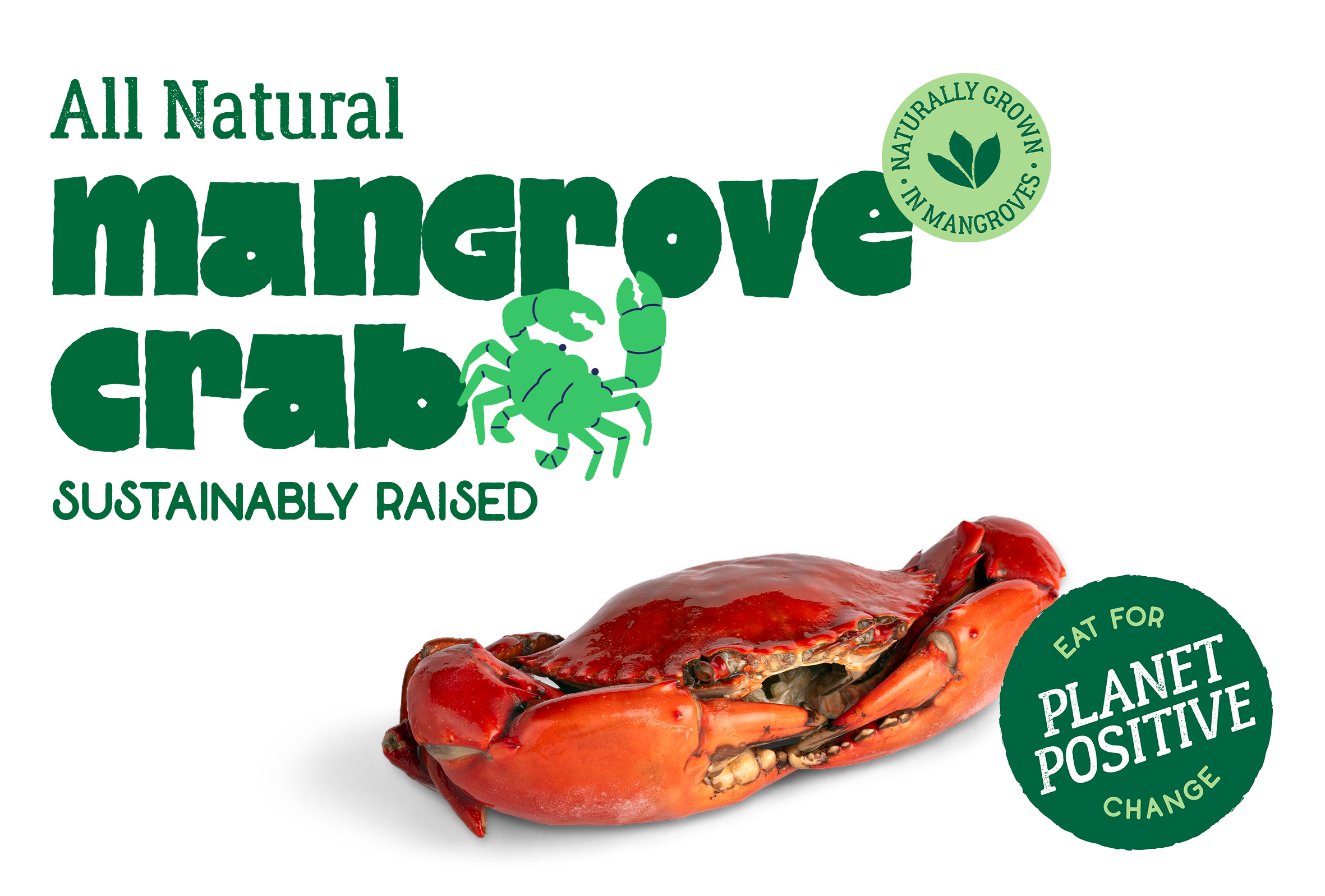Mangrovecrab BY PP